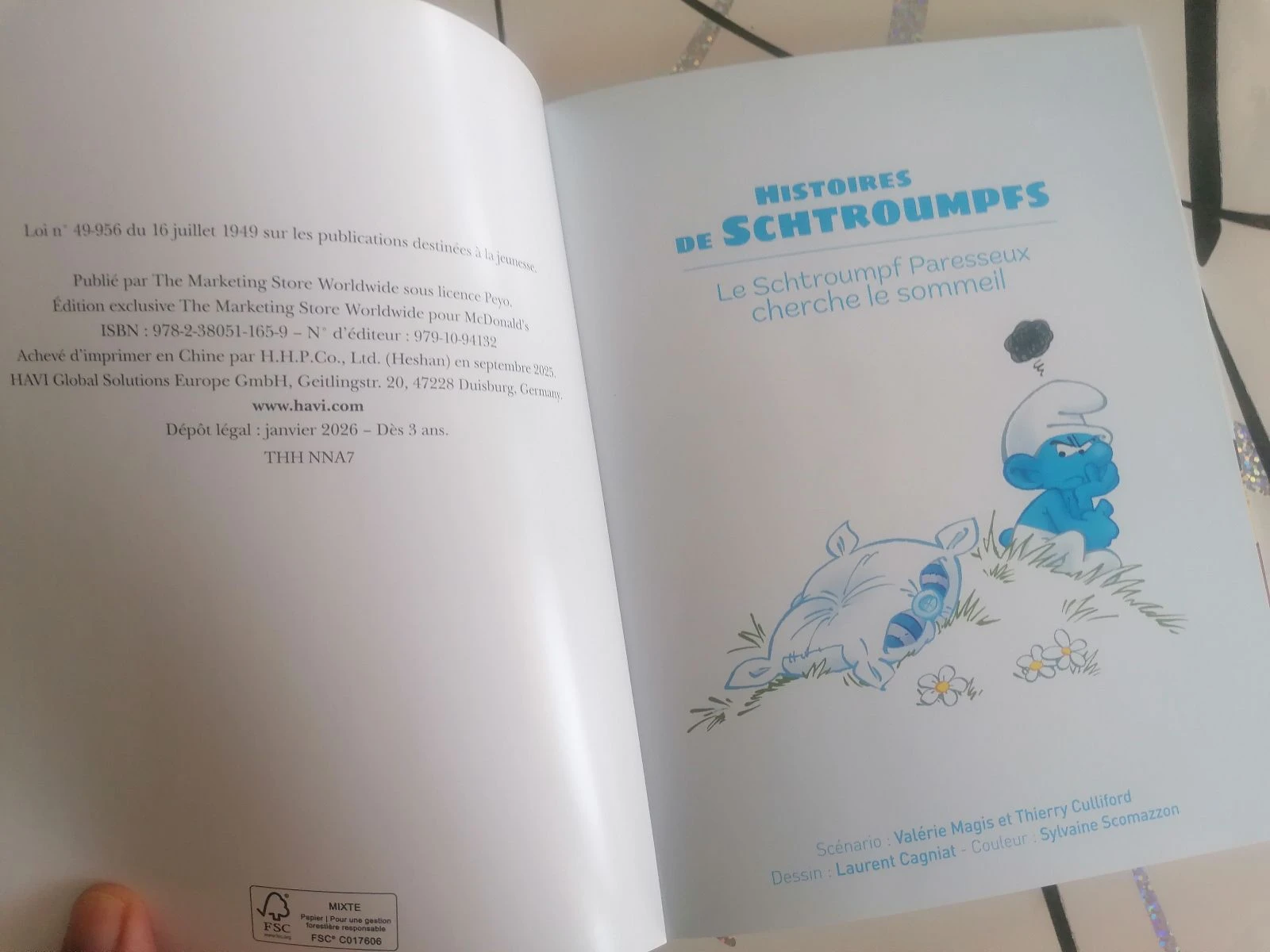 Levert de schtroumps 📘 – photo 12